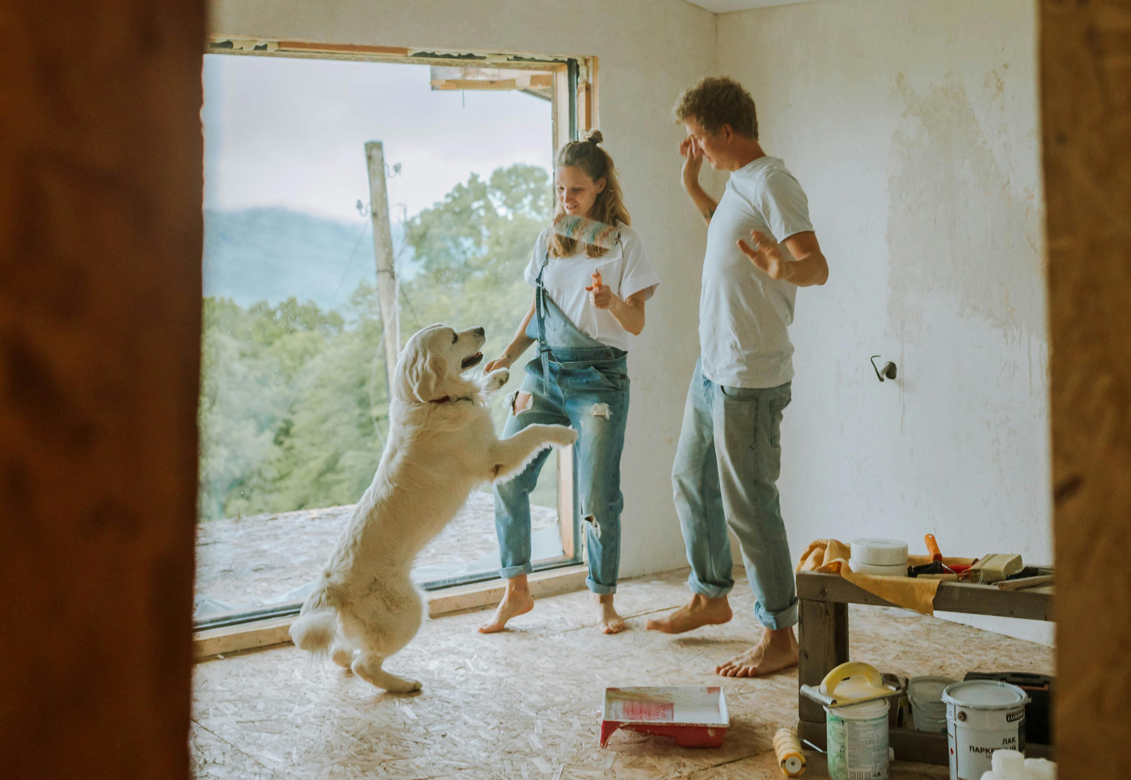 Mann og kvinne som maler og leker med en hund.